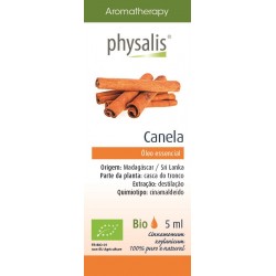 PHYSALIS Canela (Cinnamomum...